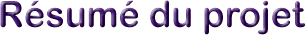 R�sum� du projet