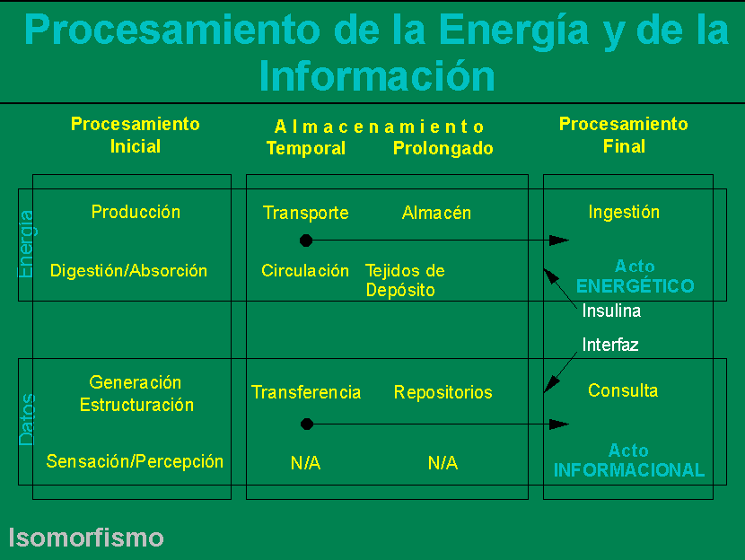 Isomorfismo entre la Energ�a y la Informaci�n