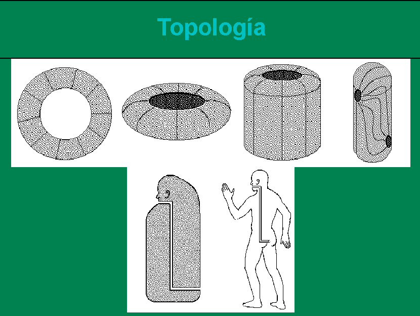 Vusualizaci�n Topol�gica de la Luz del Tubo Digestivo